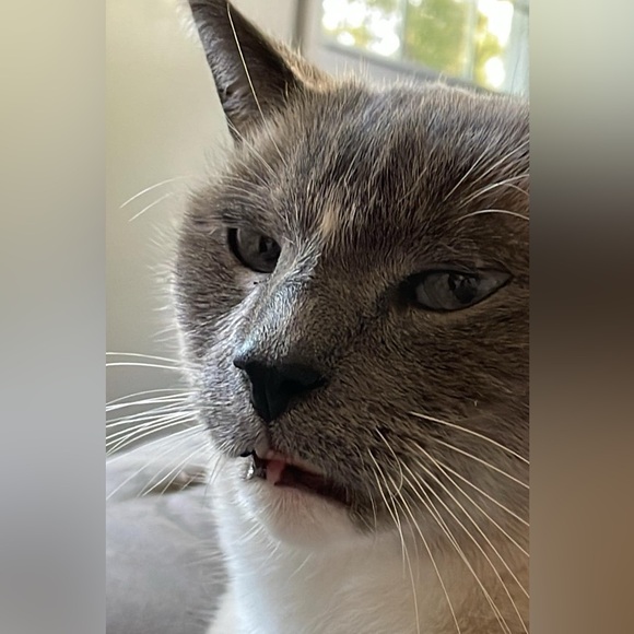 Hi! Leave a comment! β€οΈπ¦π - Picture 5 of 13